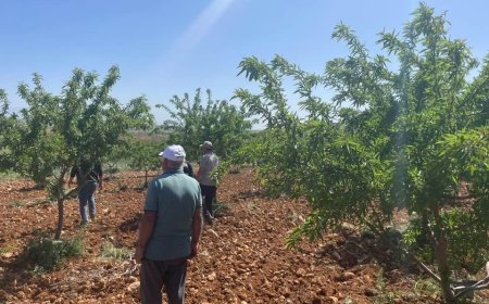 yaşamı yerinde ve yeniden inşa hareketi