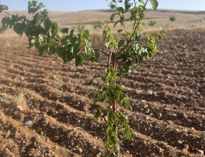 YAŞAMI YERİNDE  İNŞA KOOPERATİFİ