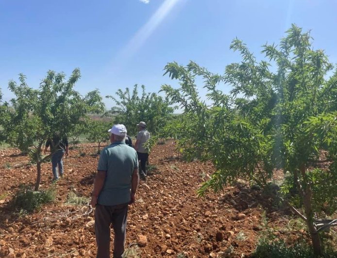 yaşamı yerinde ve yeniden inşa hareketi