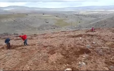 Elbistan’ın Kuyucak Köyü’nde Keyfo Başak öncülüğünde başlatılan fidan dikimi ve kolektif yaşam çalışmaları,