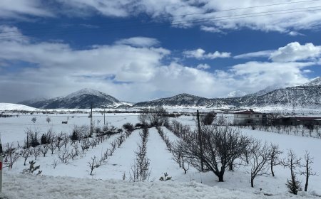 – İnsan yüreği, çocukluğunun, hatıralarının ve değerlerinin kök saldığı topraklara dönmek ister.