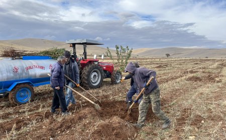YAŞAMI YERİNDE VE YENİDEN İNŞA HAREKETİ: AX – ZIMAN – ÎMAN EKSENİNDE YENİDEN YAŞAM VE TERSİNE GÖÇ