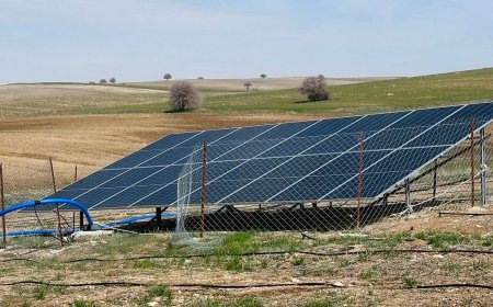 MARAŞLILAR DOĞDUĞU TOPRAKLARA, KÖKLERİNE DÖNÜYOR