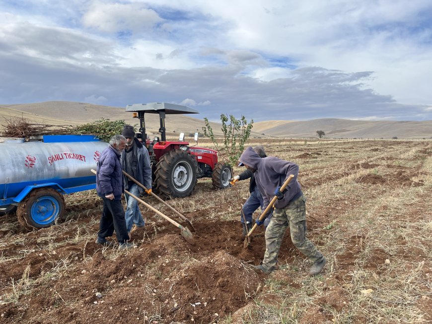YAŞAMI YERİNDE VE YENİDEN İNŞA HAREKETİ: AX – ZIMAN – ÎMAN EKSENİNDE YENİDEN YAŞAM VE TERSİNE GÖÇ