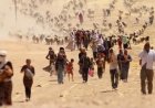 “ŞENGAL’İN ACISI İNSANLIĞIN ORTAK YARASIDIR; YAŞAMI YERİNDE VE YENİDEN İNŞA ETMEK GELECEĞİ SAVUNMAKTIR”