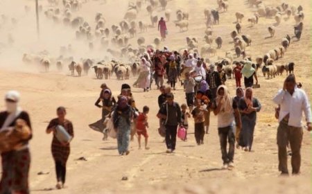 “ŞENGAL’İN ACISI İNSANLIĞIN ORTAK YARASIDIR; YAŞAMI YERİNDE VE YENİDEN İNŞA ETMEK GELECEĞİ SAVUNMAKTIR”