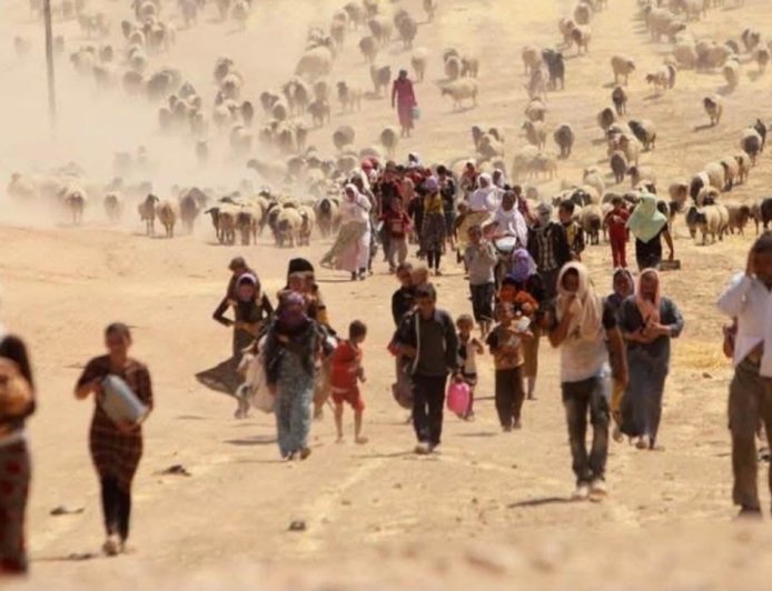 “ŞENGAL’İN ACISI İNSANLIĞIN ORTAK YARASIDIR; YAŞAMI YERİNDE VE YENİDEN İNŞA ETMEK GELECEĞİ SAVUNMAKTIR”