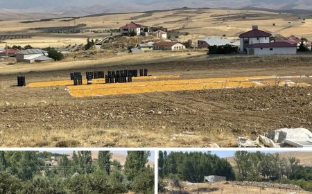 YAŞAMI YERİNDE VE YENİDEN İNŞA HAREKETİ: TOPRAKTA UMUDU, ÜRETİMDE GELECEĞİ BÜYÜTÜYOR
