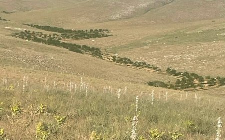 Yaşamı yeniden inşa hareketi olarak Biz, yeni bir yaşamın mümkün olduğuna inanıyoruz.