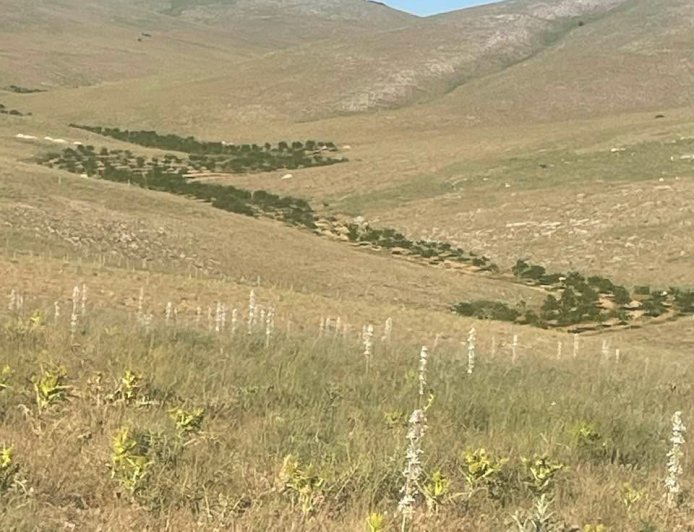 Yaşamı yeniden inşa hareketi olarak Biz, yeni bir yaşamın mümkün olduğuna inanıyoruz.