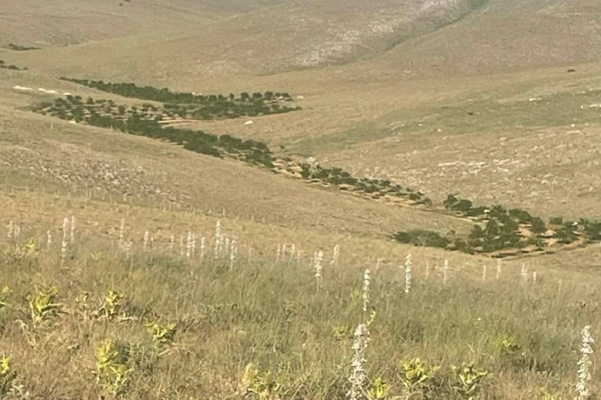 Yaşamı yeniden inşa hareketi olarak Biz, yeni bir yaşamın mümkün olduğuna inanıyoruz.